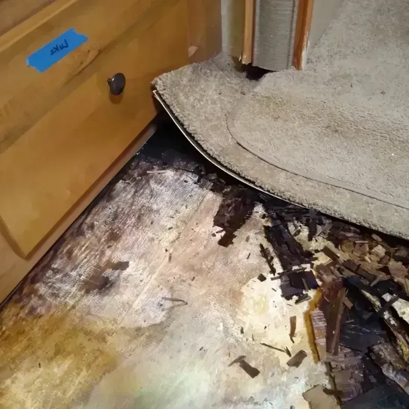 Wood Floor Water Damage in Lake City, MN